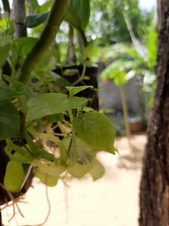 Connect Lägenhet Phan Thiet Exteriör bild