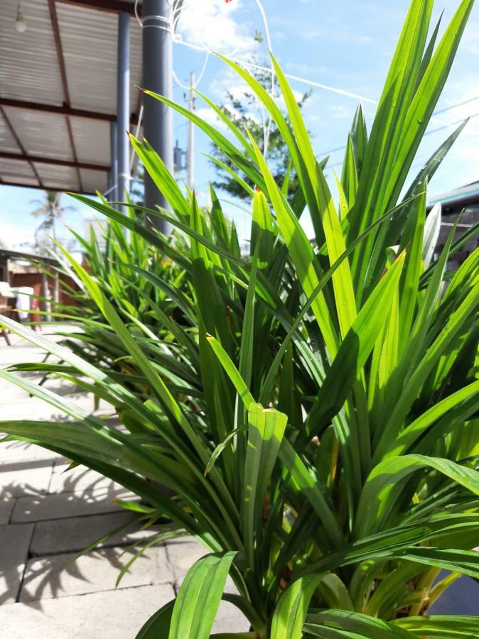 Connect Lägenhet Phan Thiet Exteriör bild